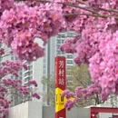 广州旅游 缩略图 9