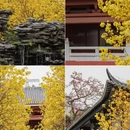 广州旅游 缩略图 6