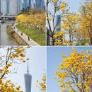 广州旅游 缩略图 8