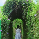 广州旅游 缩略图 3