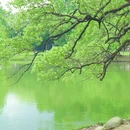 广州旅游 缩略图 11
