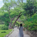 广州旅游 缩略图 10