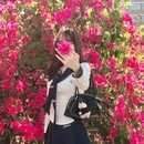 广州旅游 缩略图 7