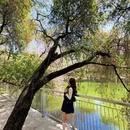 广州旅游 缩略图 10
