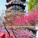 长沙旅游 缩略图 5