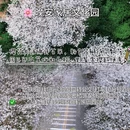 长沙旅游 缩略图 4
