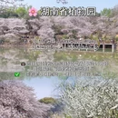 长沙旅游 缩略图 2