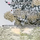 长沙旅游 缩略图 7