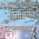 长沙旅游 缩略图 6