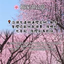 长沙旅游 缩略图 8
