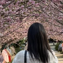 广州旅游 缩略图 7