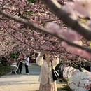 广州旅游 缩略图 4