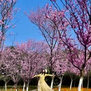 成都旅游 缩略图 2