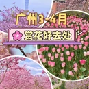 广州旅游 缩略图 1