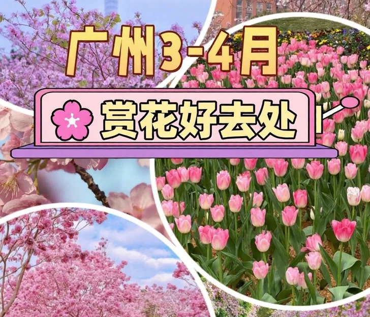 广州旅游 1