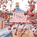 广州旅游 缩略图 6