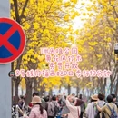 广州旅游 缩略图 3
