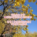 广州旅游 缩略图 11