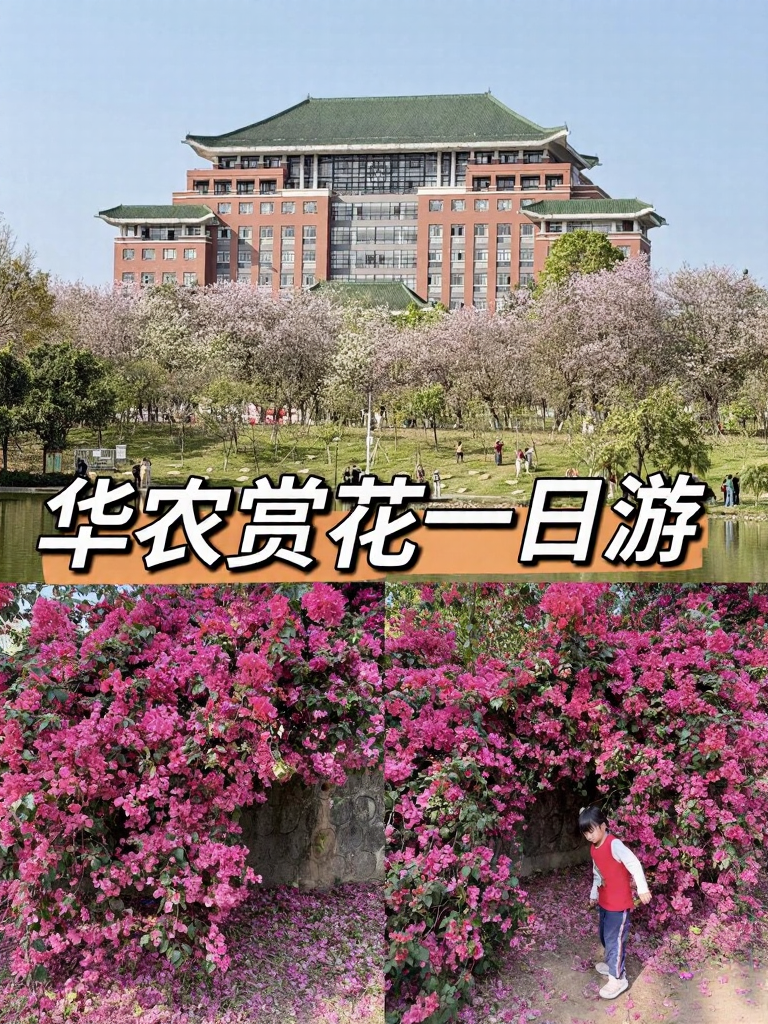 广州旅游