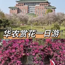 广州旅游 缩略图 1