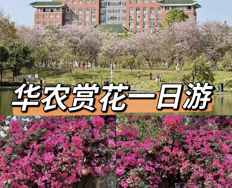 广州旅游 1