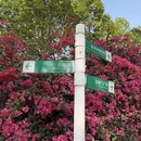 广州旅游 缩略图 4