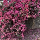 广州旅游 缩略图 3