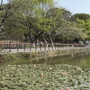 广州旅游 缩略图 8