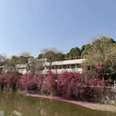 广州旅游 缩略图 14