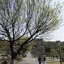 广州旅游 缩略图 12
