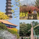 广州旅游 缩略图 3