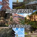 广州旅游 缩略图 1