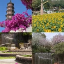 广州旅游 缩略图 2