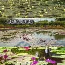 广州旅游 缩略图 8