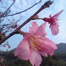 深圳旅游 缩略图 5
