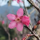 深圳旅游 缩略图 3