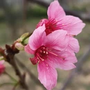 深圳旅游 缩略图 7