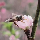 深圳旅游 缩略图 9
