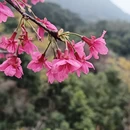 深圳旅游 缩略图 10