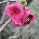 深圳旅游 缩略图 14