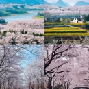 贵阳旅游 缩略图 1