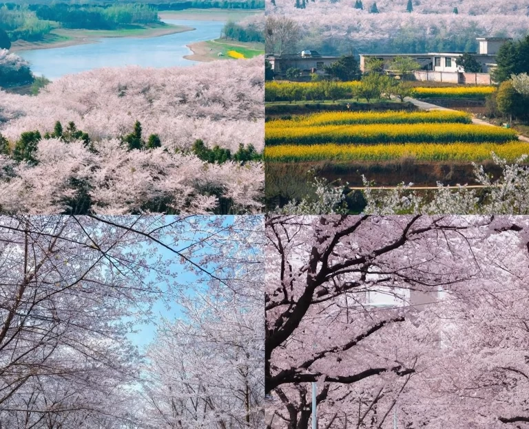 贵阳旅游 1