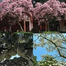 贵阳旅游 缩略图 4