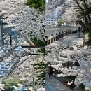 贵阳旅游 缩略图 7