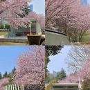 贵阳旅游 缩略图 5