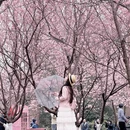 南京旅游 缩略图 9