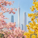 广州旅游 缩略图 1