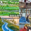 广州旅游 缩略图 5