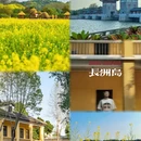 广州旅游 缩略图 3