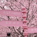 南京旅游 缩略图 10